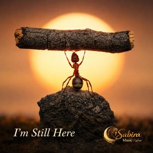 I'm still here.