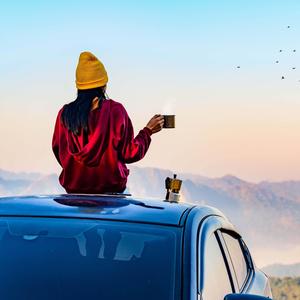 Phoenix Flowers Bloom