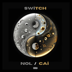 T- SWİTCH