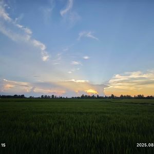 请对我温柔些吧-陆歌