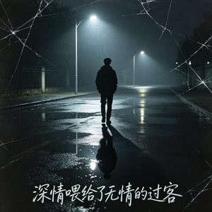深情喂给了无情的过客.mp3