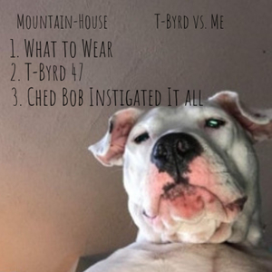 Ched Bob Instigated It All