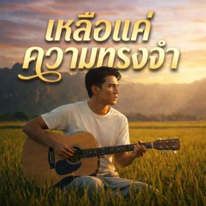 เหลือแค่ความทรงจำ