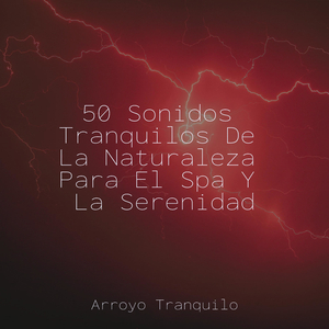 El Susurro De Un Nimbo