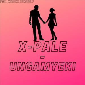 Ungamyeki