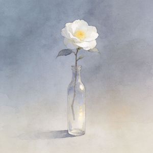 茶花开了