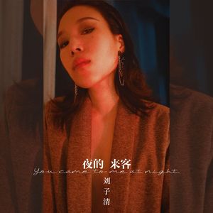 夜的来客