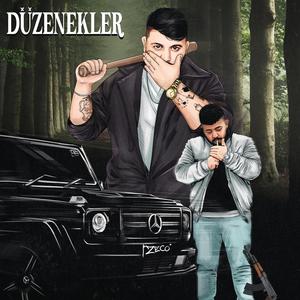 Düzenekler