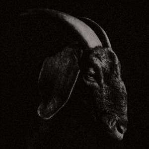 Rest in shit (Skara Diss Track)