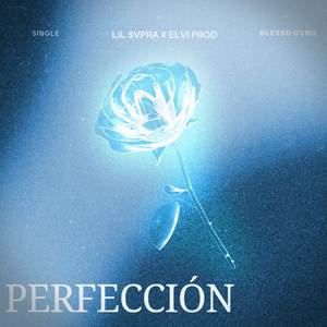 Perfección