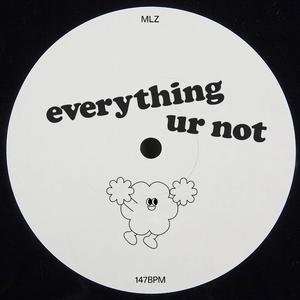 EVERYTHING UR NOT