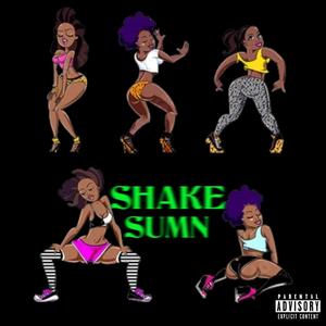SHAKE SUMN