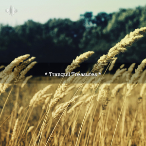 Surf Waves For Sleep