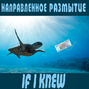 If U Knew