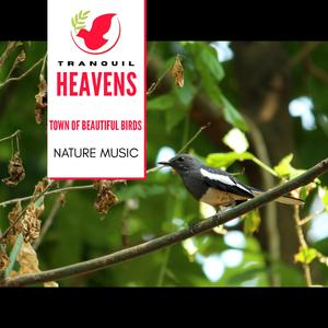 Classical River Tale