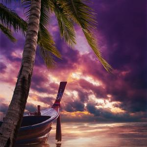 我落泪情绪零碎