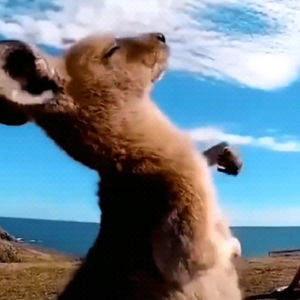 Ring Ring Ring（Prog House）