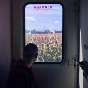 万万千千就停在这里2025