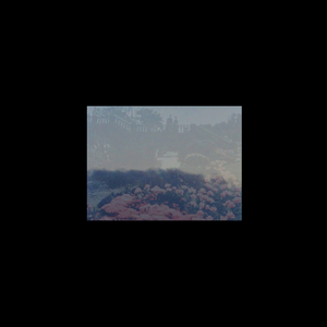 Totemism (Original Mix)