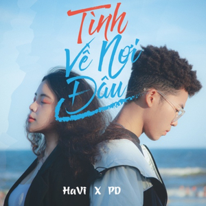 Tình Về Nơi Đâu (Instrumental)