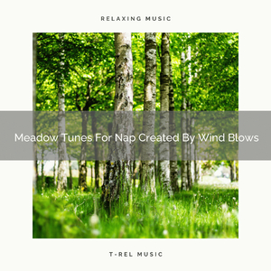 Mother Earth Calls With Sea Sounds And Ocean Waves