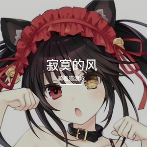 寂寞的风