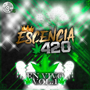 Sin Evidencia (Live)