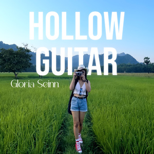 Hollow Guitar