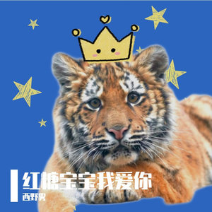 红糖宝宝我爱你