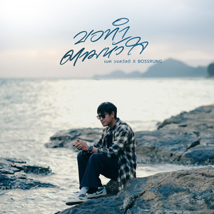 ขอทำตามหัวใจ