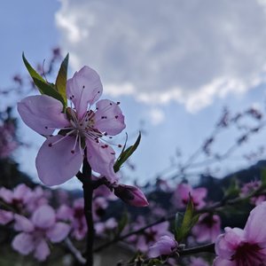 旧时街巷的月光.mp3