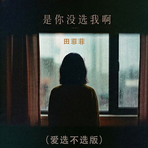 是你没选我啊(爱选不选版)