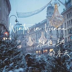 维也纳的冬天