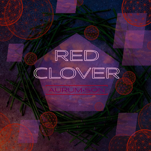 Red Clover