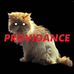 PROVIDANCE