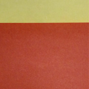 世界に一日だけの警察署長