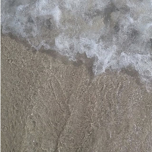 Spacific Shore