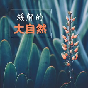 舒缓的白噪音