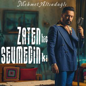 Zaten Hiç Sevmedin Ki