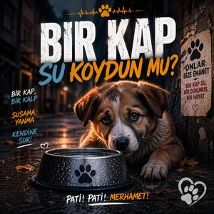 Bir Kap Su Koydunmu