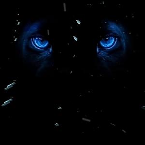Bagheera
