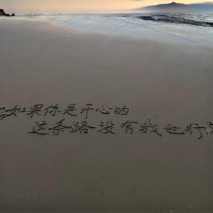 这条路没我也行