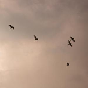 一阳（prod by 313李云飞）