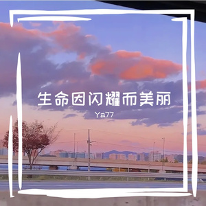 生命因闪耀而美丽