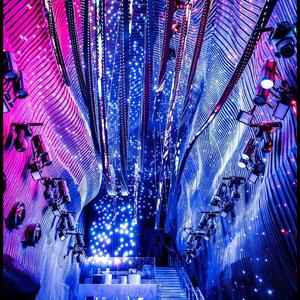 Animals （原作者Martin Garrix）