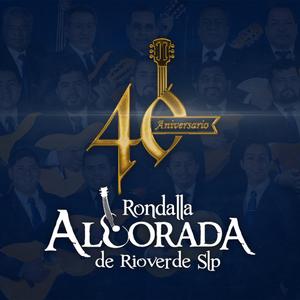 Palabras Nuevas de Amor