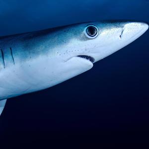 Always keep your eyes open