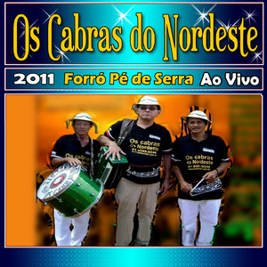 Chamegando - Ao Vivo