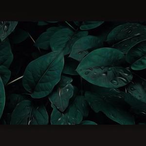 Korktuğumdan Değil