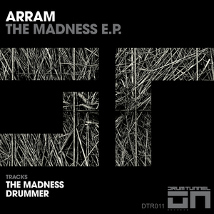 The Madness (Original Mix)